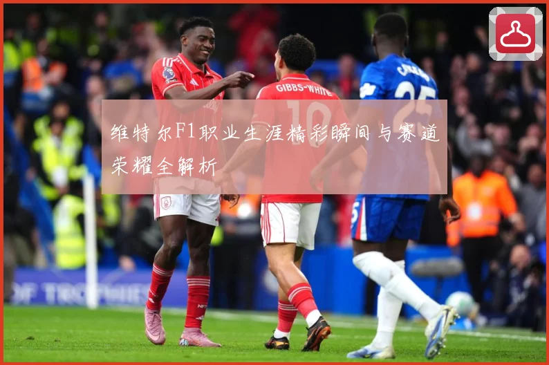 维特尔F1职业生涯精彩瞬间与赛道荣耀全解析