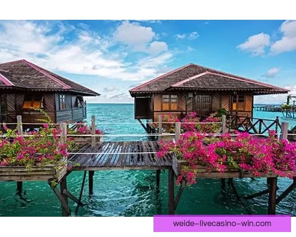 伟德平台是否真实可信？全面解析其运营背景与用户体验