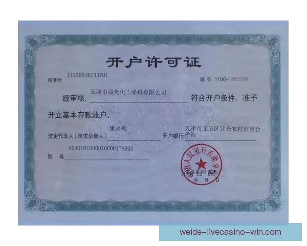 伟德博彩平台评测：全面分析其信誉、安全性及用户体验